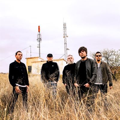 Shed Seven
