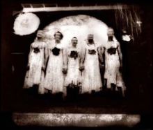 Sleepytime Gorilla Museum