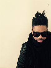 Felix da Housecat