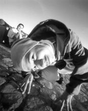 Lighter Shade of Brown