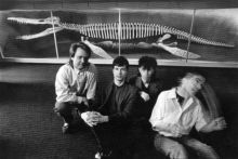 Birdsongs of the Mesozoic