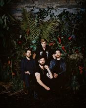 Foals