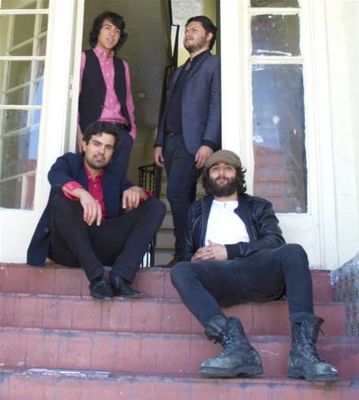 The Bloodhounds