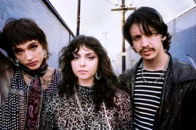 The Velveteers