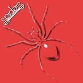 The Spiders from Mars: Spider Tracks & Reviews | AllMusic