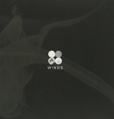 BTS: Wings Tracks & Reviews | AllMusic