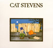 Teaser and the Firecat