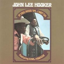 John Lee Hooker: Simply the T Tracks & Reviews | AllMusic
