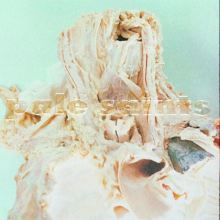 The Boo Radleys: Learning to  Tracks & Reviews | AllMusic
