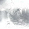 The Attrition of Reason/in the Realm of the Hungry Ghosts