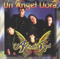 Un Angel Llora