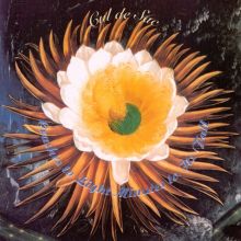 Gastr del Sol: Upgrade & Afte Tracks & Reviews | AllMusic