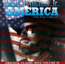 America (The Way I See It)