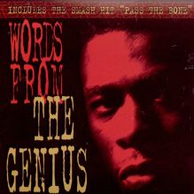 激レア The Genius ‎– Words From The Genius The Genius – Words From The Genius – CD (Album), 1991