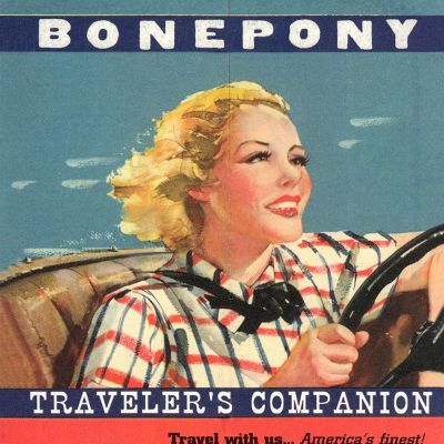 Traveler's Companion