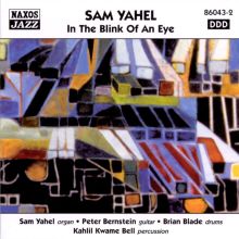 In the Blink of an Eye