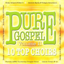 Pure Gospel: 10 Top Choirs, Vol. 2