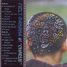 Melt Banana — Biography, Discography, Albums & Expert Reviews