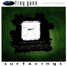 CD 希少Trey Gunnソロ・参加作品 CD まとめ
