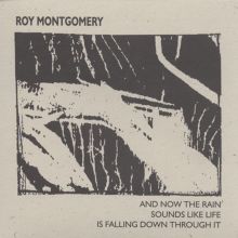 Roy Montgomery — Biography, Discography, Albums & Expert Reviews