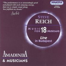 Steve Reich: Music for 18 Musicians (Live in Budapest)