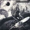 David Sylvian: Secrets of the Tracks & Reviews | AllMusic