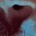 Meddle