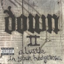 Down II (A Bustle in Your Hedgerow)