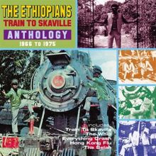 Train to Skaville: Anthology 1966-1975