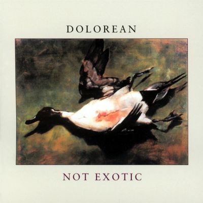 Not Exotic
