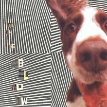 The Concussive Caress, or, Casey Caught Her Mom Singing Along With the Vacuum