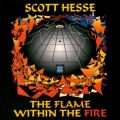 Flame Within the Fire