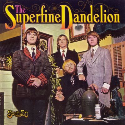 Superfine Dandelion