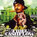 Fidel Cashflow