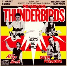The Fabulous Thunderbirds