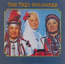 The Forest Is Crying