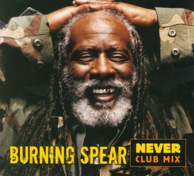 Never: Club Mix