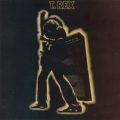 Electric Warrior [Expanded]