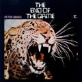Peter Green: The End of the Game Tracks &amp; Reviews | AllMusic