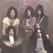 A Woofer in Tweeter's Clothing