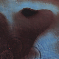 Meddle