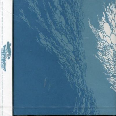 Boris: Flood Tracks & Reviews | AllMusic