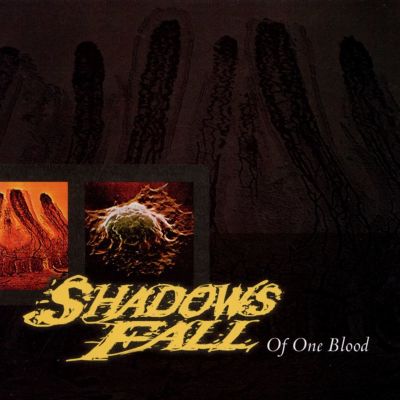 Of One Blood