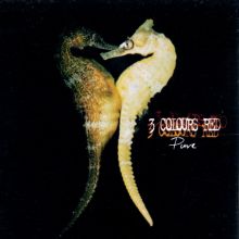 Ride: Tarantula Tracks & Reviews | AllMusic