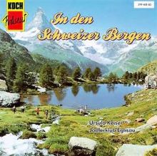 In The Swiss Mountains