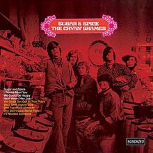 The Zombies: Greatest Hits [S Tracks & Reviews | AllMusic