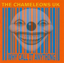 Why Call it Anything?