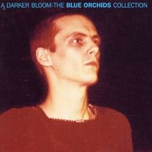 A Darker Bloom: The Blue Orchids Collection