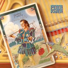 The Fool & The Hummingbird