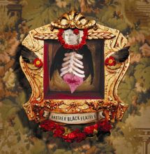 Another Black Feather